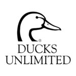 Business Collaborations-13